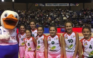 SORTIE BASKET LANDES