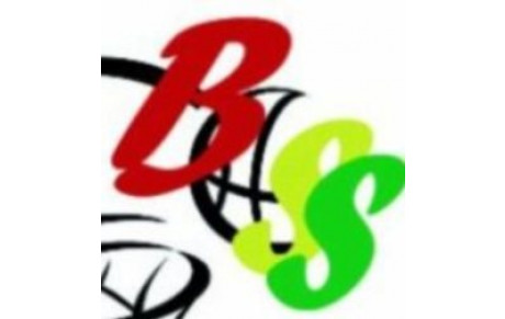 BOSS SAULT SALLESPISSE