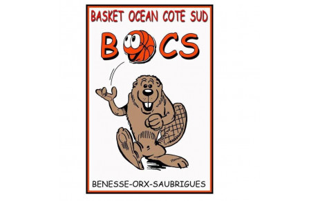 BOCS